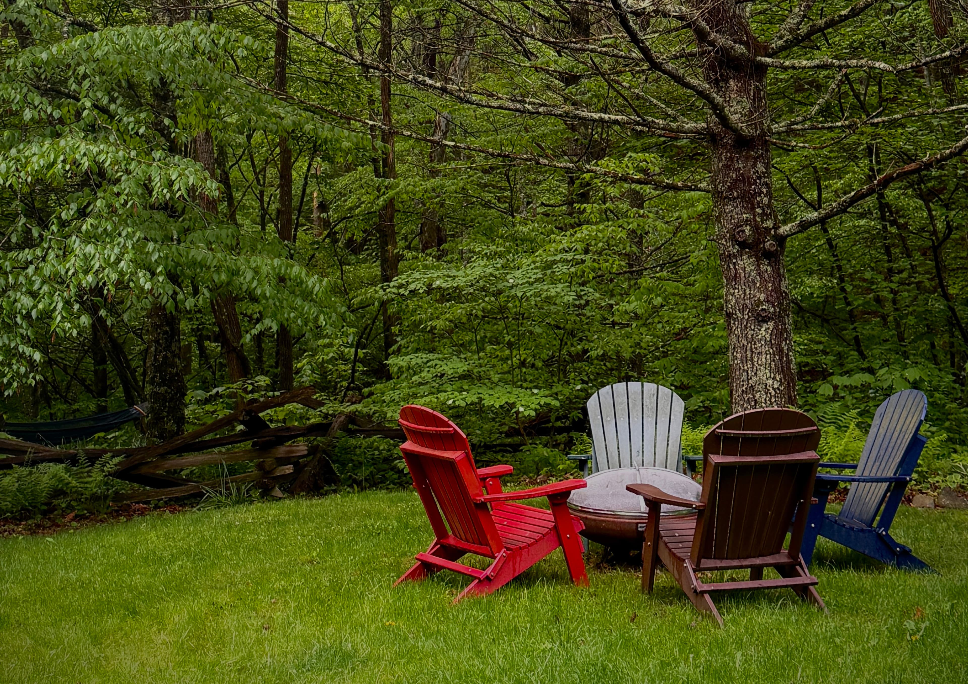A circle of colorful adirondack chairs surrounding a small table in a lush green forest setting.