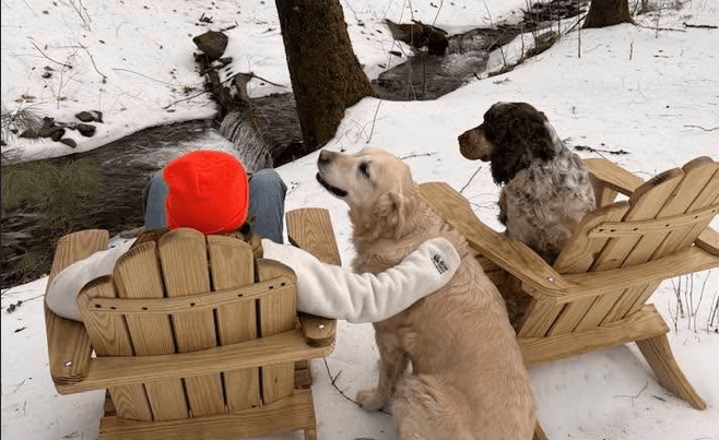 A person in an orange hat sits on an Adirondack chair beside two dogs in a snowy setting near a stream.